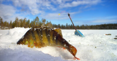 Pilkkijä vajosi jäihin ja menehtyi – sivullinen ilmoitti tapahtuneesta hätäkeskukseen