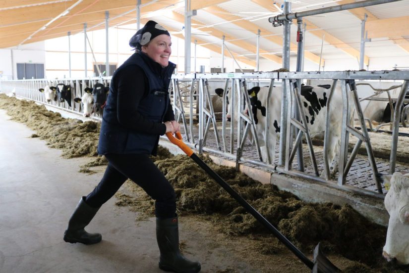 Jouni Palorannan suunnittelema pihatto on kuusivuinen, 64 metriä pitkä ja neljäkymmentä metriä leveä. Pihattoa voi muunnella porteilla eri osastoiksi.
