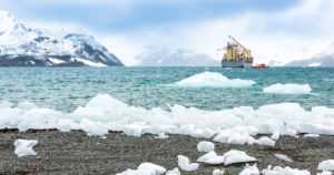 Öljyonnettomuus arktisella alueella – suurimpina kärsijöinä olisivat jääkarhut ja merilinnut