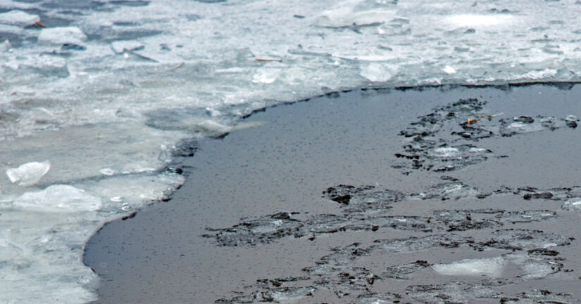 Kuvituskuva Dreamstime