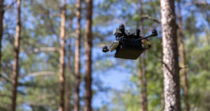 Jotain hyötyä koleasta alkukesästä – kirjanpainajien aiheuttamat metsätuhot ovat hidastuneet