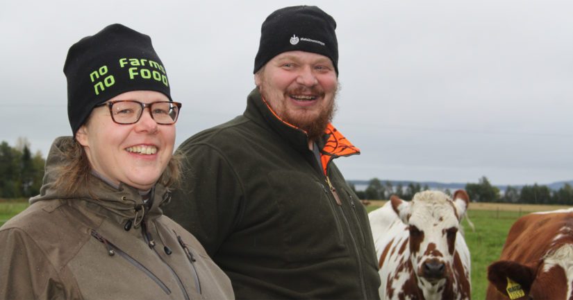 Ella ja Jyrki hoitavat reilun 70 lehmän lypsykarjatilaansa suurella tunteella. – Karja ei ole kasvotonta massaa. Jokainen on yksilö, joten niitä täytyy myös hoitaa yksilöllisesti.