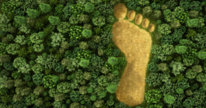 YK:n ilmastokokouksen tulos jäi laihaksi – ”Kaikkia on vaikea saada mukaan yhteistyöhön”