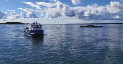 EU:n barometri selvitti – koronapandemia lisäsi suomalaisten kalan kulutusta