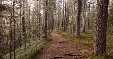 Autiotuvat suljetaan vatsatautitapausten vuoksi – älä lähde Karhunkierrokselle
