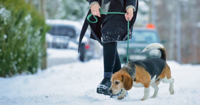 Liukastumiset aiheuttavat taas paljon tapaturmia – maaliskuu on usein kiireisin onnettomuuskuukausi