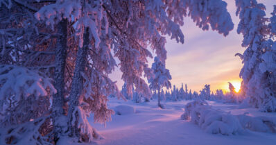Joulun menoliikenne käynnistyy lauhassa säässä – täysin varma valkea joulu löytyy Lapista