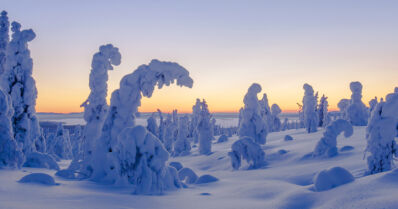 Poliisi pyytää havaintoja Lapin erämaahan kadonneesta miehestä – mukana tunnistuskuva