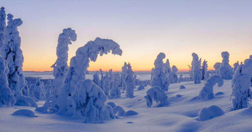 Poliisi pyytää havaintoja Lapin erämaahan kadonneesta miehestä – mukana tunnistuskuva