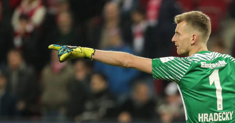 Suomen jalkapallomaajoukkueen ykkösmaalivahdin Lukas Hradeckyn ura jatkuu edelleen Saksan Bundesliigassa.