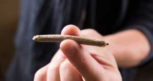 Kannabiksen kokeilu ja käyttö ovat yleistyneet yli 18-vuotiailla nuorilla – mutta eivät alaikäisillä