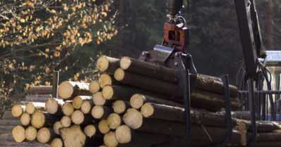 Luonnonvarakeskus tarkisti hiilinielulaskelmiaan – komission tarkastuspalaute voi vielä muuttaa lukuja