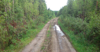 Jopa kolmannes metsäteistä on huonokuntoisia – voisiko tuhkalla ja betonimurskeella parantaa niiden kantavuutta?