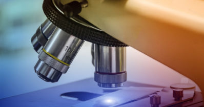 Rakennustyömaalta löytyi ihmisen leukaluu – ei rikosta, henkilö eli satoja vuosia sitten