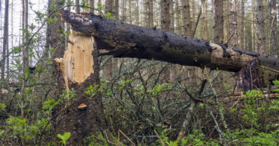Ulla oli harvinaisen voimakas kesämyrsky – tuulet aiheuttivat 700 vahingontorjuntatehtävää