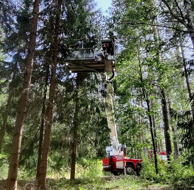 Soitto hätäkeskukseen laukaisi pattitilanteen. Etelä-Savon Pelastuslaitos toimi lähtökäskyn saatuaan hyvin esimerkillisesti ja pelasti puuhun kiivenneen nopeasti ja eläinystävällisesti.