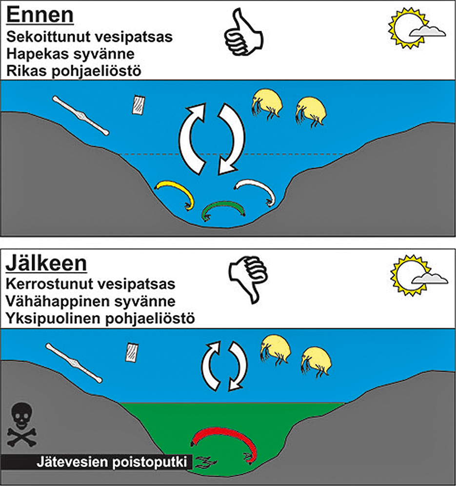 Nuas-järven vesipatsas ennen ja jälkeen purkuputken asentamista 2015.