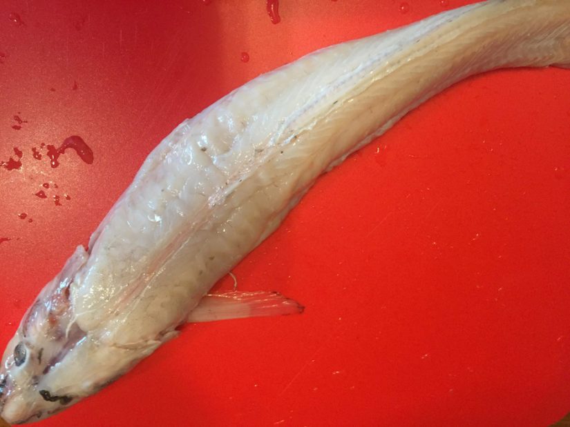Hurjan näköinen, hyvän makuinen. Sellainen se made on.