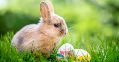 Pääsiäisen päivitetty sääennuste – kesäisiä lämpötiloja, mutta myös lumi- ja räntäsateita