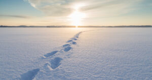 Kireä pakkasjakso jatkuu Suomessa – ”Pakkasvaroitus on annettu useammaksi vuorokaudeksi”