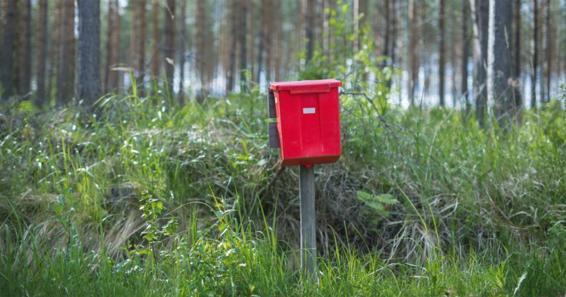 Kesämökit ovat vaihtaneet omistajaa vilkkaasti – keskihinnat nousseet 21 prosenttia