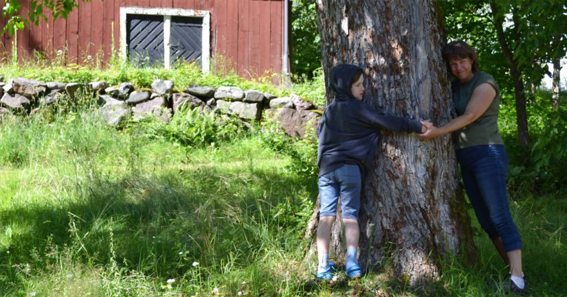 Suomen kansallismaisemiin kuuluvassa Inkoon Fagervikissa on valtavasti puuvanhuksia. Max pääsi rutistuspuuhiin kesäretkellä Mummin kanssa.