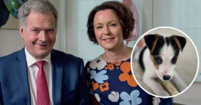 Tasavallassa on uusi ykköskoira – tenterfieldinterrierin pentu Osku