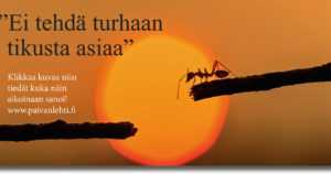 Päivän sitaatti: ”Ei tehdä turhaan tikusta asiaa”