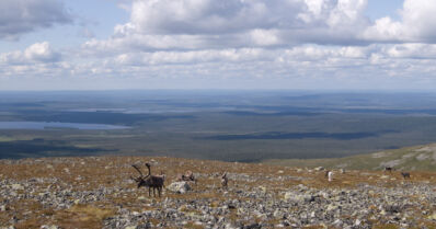 Pallastunturilla menehtyi kulkija – poliisi tutkii tapahtunutta kuolemansyyn selvittämisenä