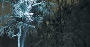 Kolmevuotias pikkulapsi harhaili keskiyöllä taskulampun kanssa – nuorisojoukko pelasti kyytiin