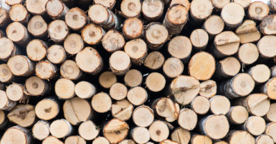 Suoralla tiellä suistunut ajoneuvo törmäsi puupinoon – autosta pudonnut kuljettaja menehtyi sairaalassa