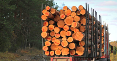 Henkilöauto törmäsi liikennemerkkiin väistäessään tukkirekkaa – kuljettaja ei jäänyt selvittämään tapahtunutta