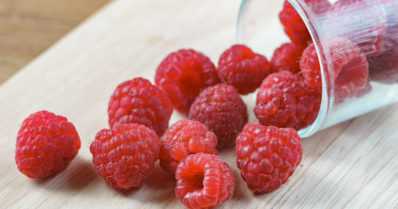 Vadelmasato on nyt parhaimmillaan – pitkää satokautta odotetaan