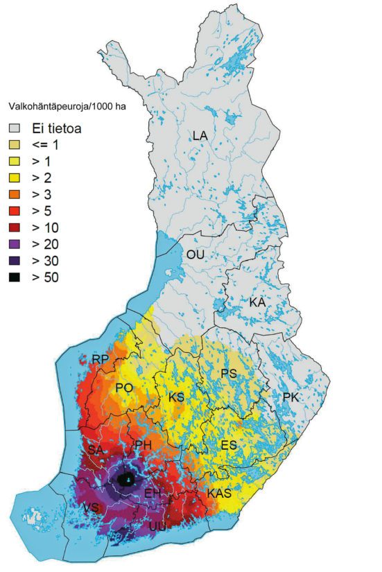 Kartta valkohäntäpeurojen esiintymisalueesta kertoo, että laji on keskittynyt voimakkaasti eteläiseen Suomeen.