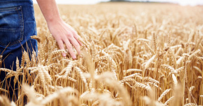 Suomi osallistuu Ukrainan viljakuljetusoperaatioon – lisää humanitaarista apua Afrikan sarveen